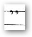 quotation marks quotation marks